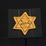 DSC_0086_00076 (June 24, 2023)